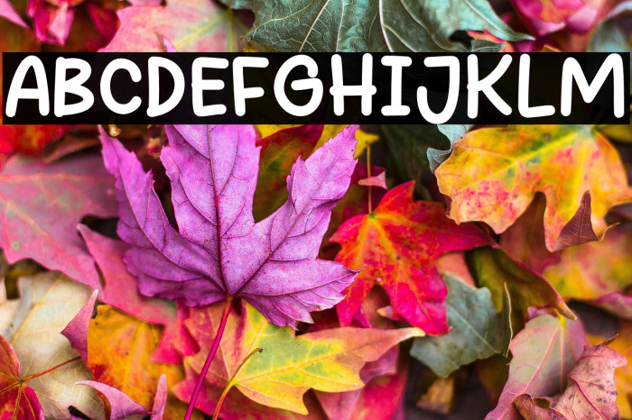 Hey Patrick Example 3