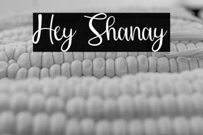 Hey Shanay Font examples