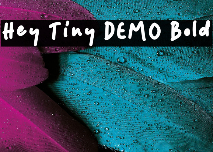 Hey Tiny DEMO Bold Example 1