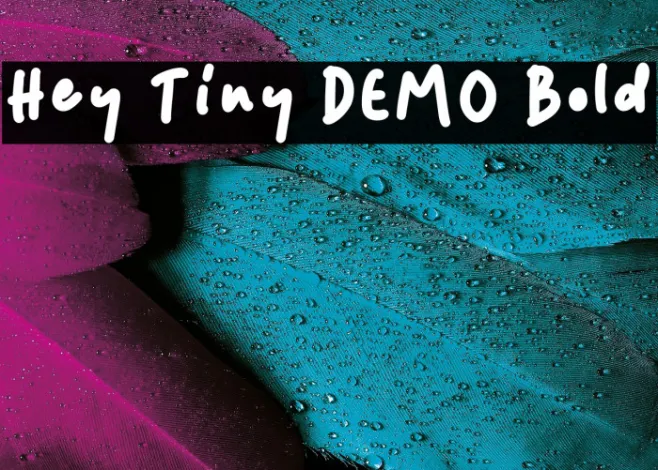 Hey Tiny DEMO Bold Example 1