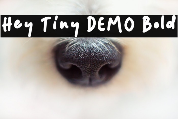 Hey Tiny DEMO Bold Example 2