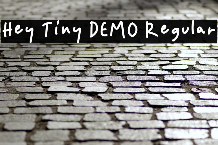 Hey Tiny DEMO Regular Example 1