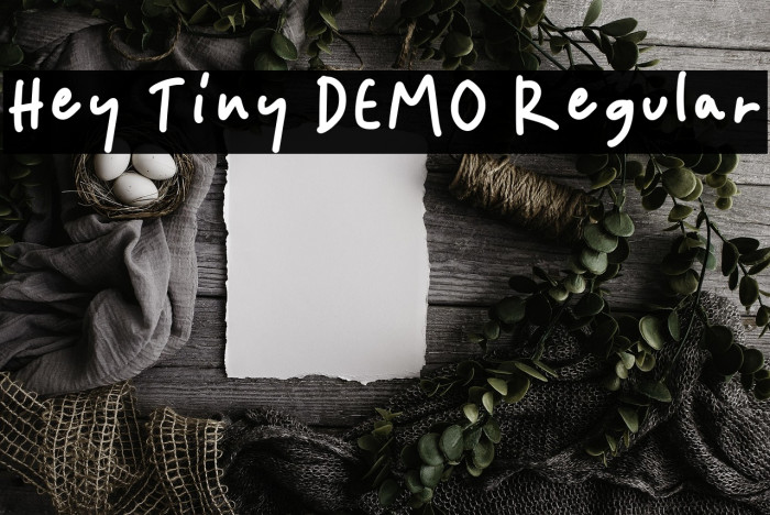 Hey Tiny DEMO Regular Example 2