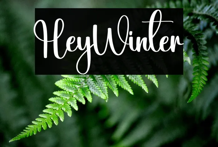 Hey Winter Example 2