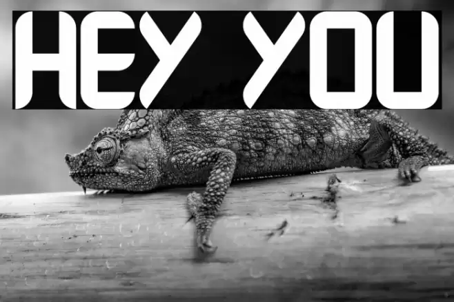 Hey You Font examples