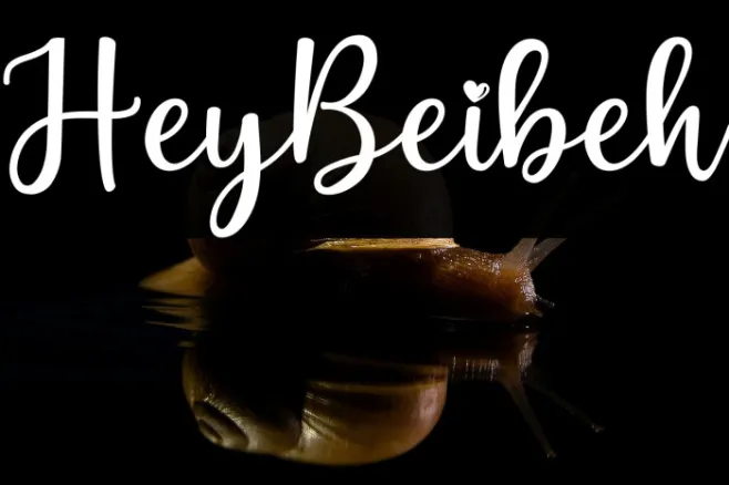 HeyBeibeh Example 1