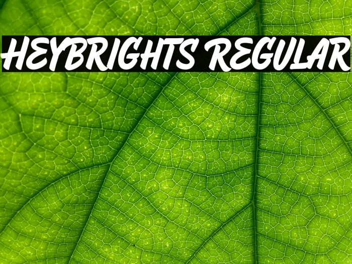 HeyBrights Regular Шрифта examples