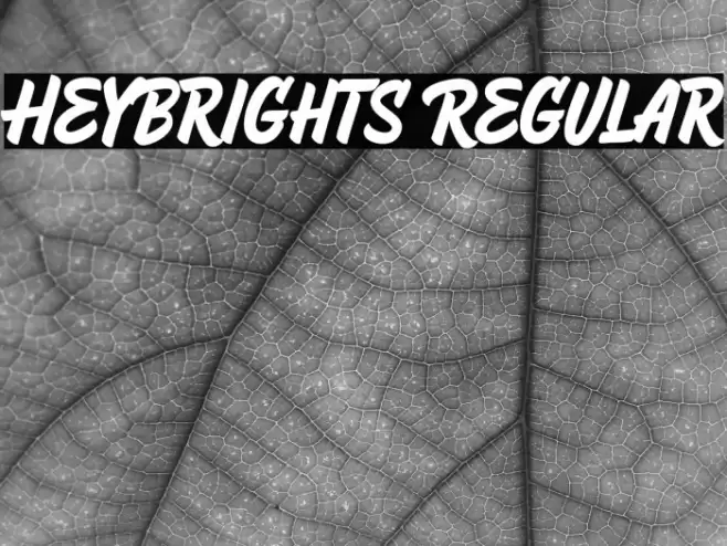 HeyBrights Regular Font examples