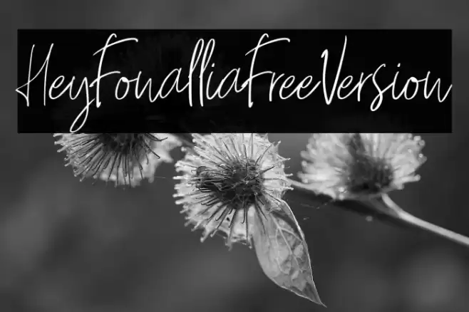 HeyFonallia-FreeVersion Font examples