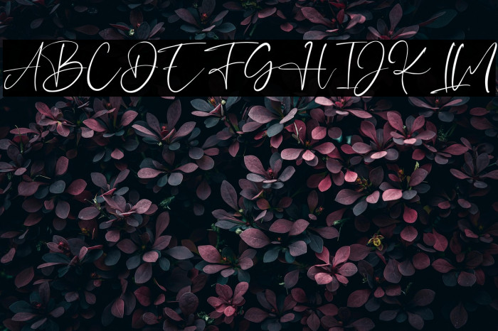 HeyJenifer Example 1