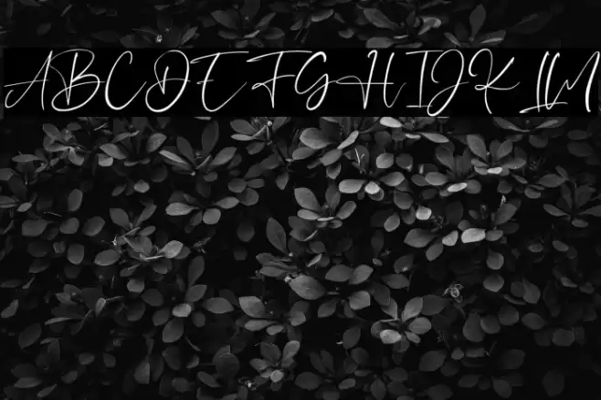 HeyJenifer Font examples