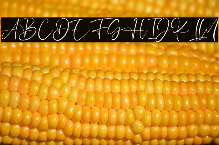 HeyJenifer Example 2