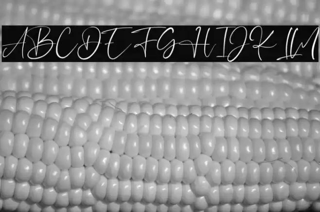 HeyJenifer Font examples