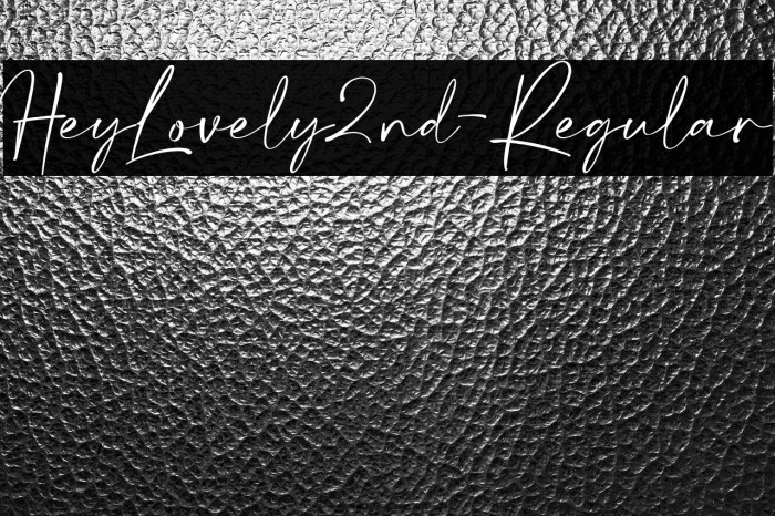 HeyLovely2nd-Regular Example 1