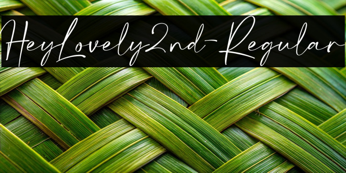 HeyLovely2nd-Regular Example 2