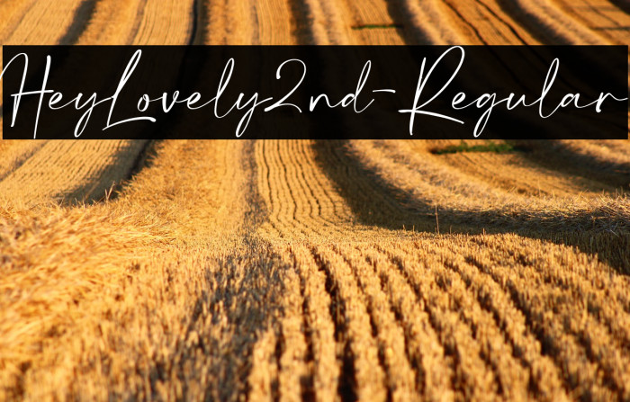 HeyLovely2nd-Regular Example 3