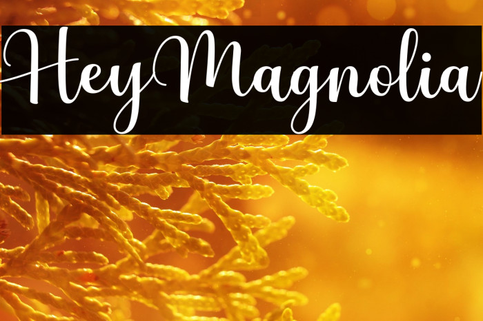 HeyMagnolia Example 2