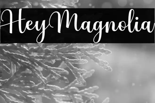 HeyMagnolia Font examples