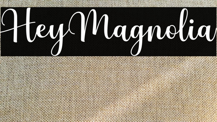 HeyMagnolia Example 3