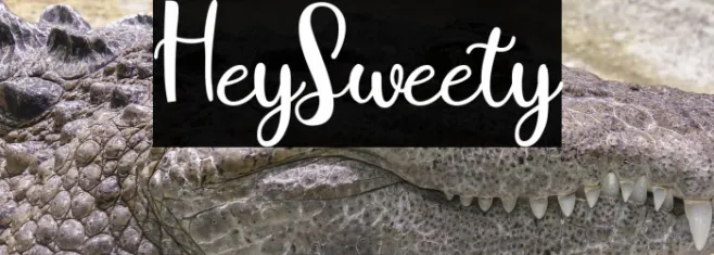 HeySweety Example 3