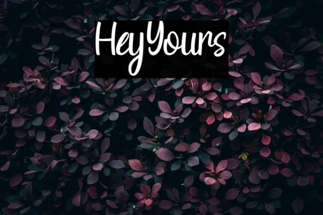 HeyYours Example 1