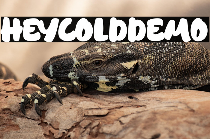 HeycoldDEMO Example 1