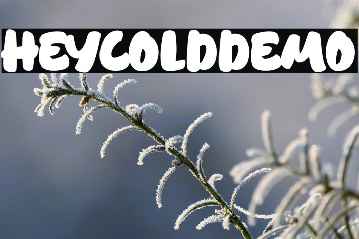 HeycoldDEMO Example 2