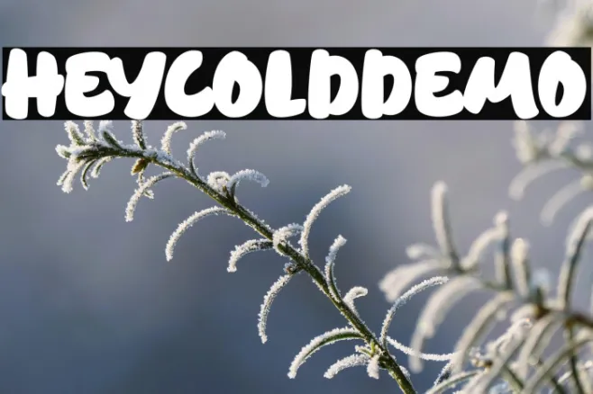 HeycoldDEMO Example 2