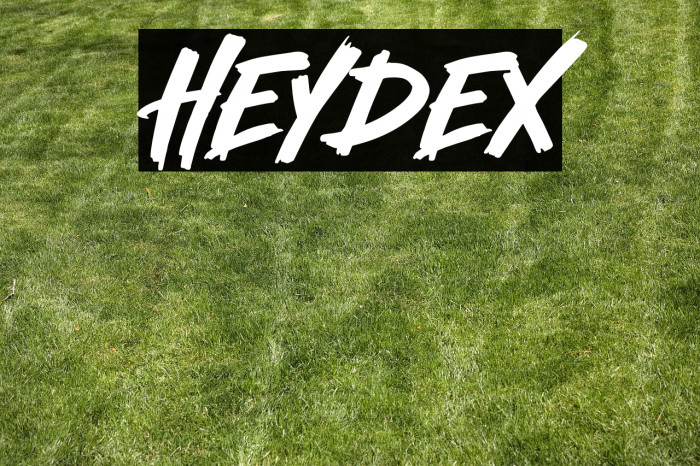 Heydex Example 1