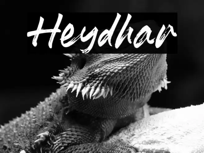 Heydhar Schriftart examples