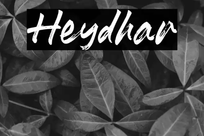 Heydhar Schriftart examples
