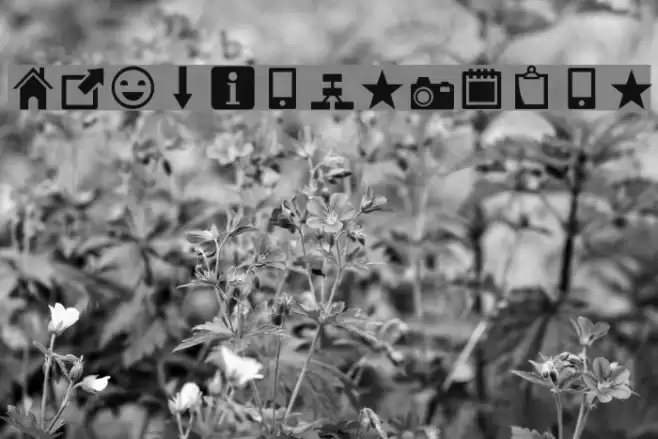 Heydings Icons Font examples