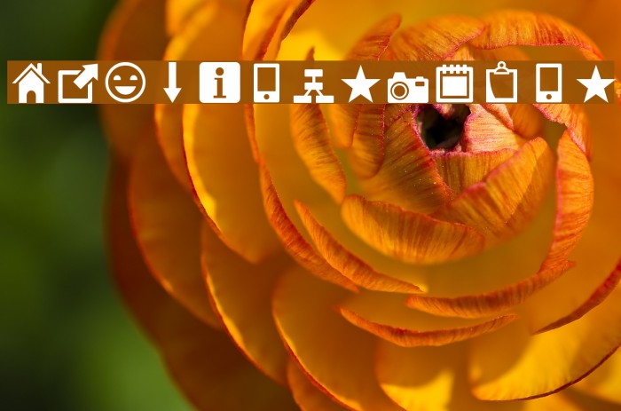 Heydings Icons Caratteri examples