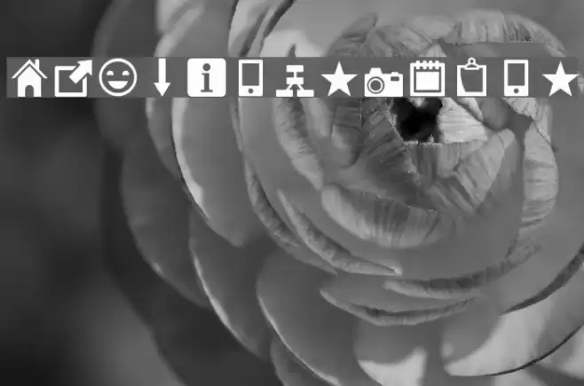 Heydings Icons Font examples