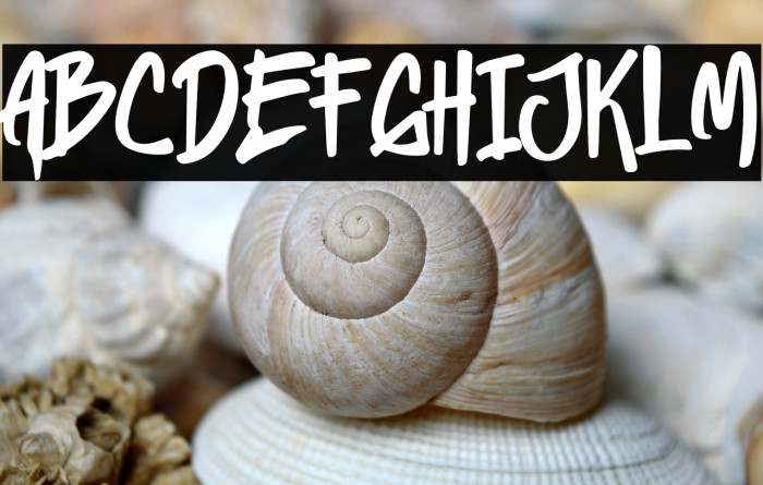 Heylabs Stroyed Example 1