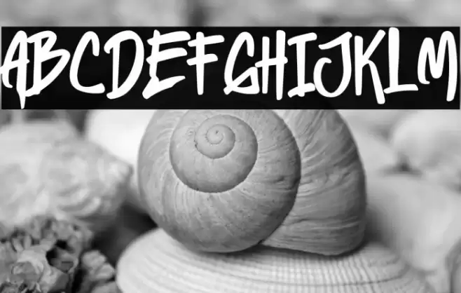 Heylabs Stroyed Caratteri examples