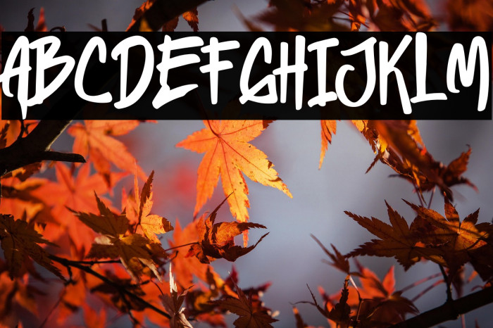 Heylabs Stroyed Example 2