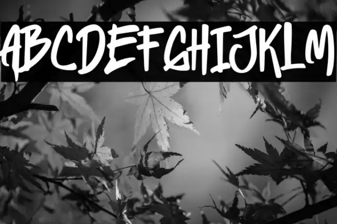 Heylabs Stroyed Caratteri examples