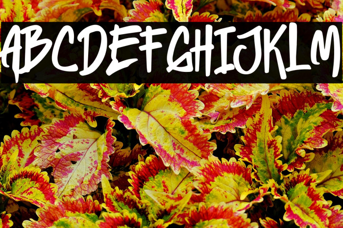 Heylabs Stroyed Example 3