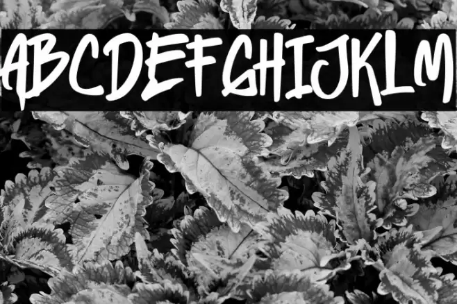 Heylabs Stroyed Caratteri examples