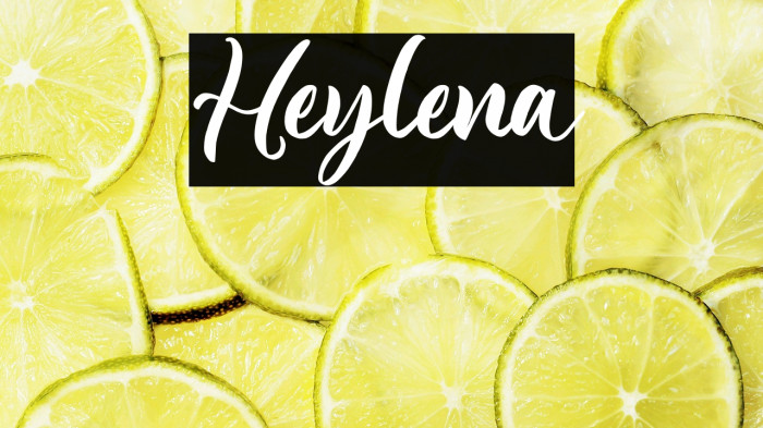 Heylena Example 3