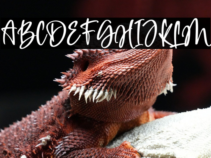 Heylia Lovely Example 3