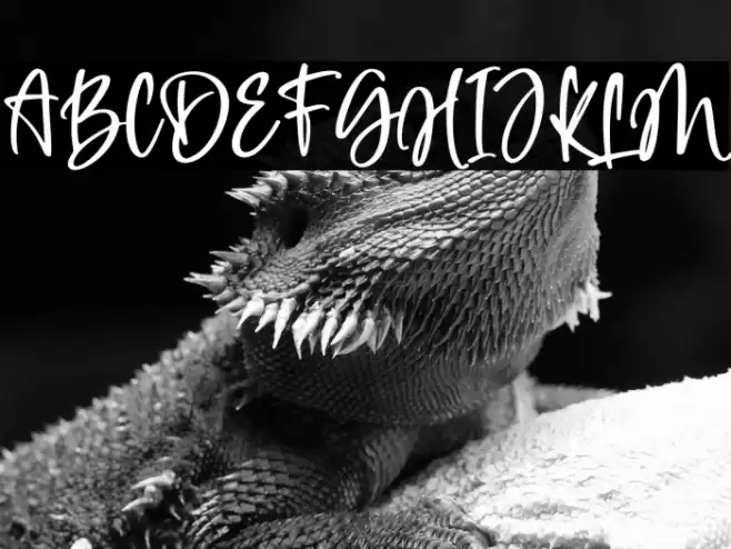 Heylia Lovely Font examples