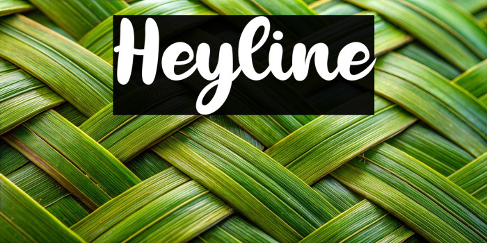 Heyline Example 2