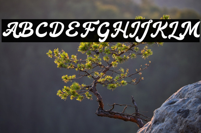 Heylova Script DEMO Regular Example 2