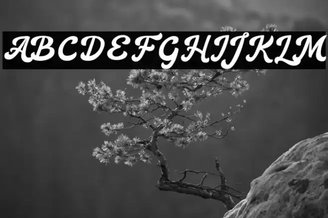 Heylova Script DEMO Regular Font examples