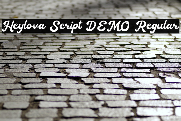 Heylova Script DEMO Regular Example 3