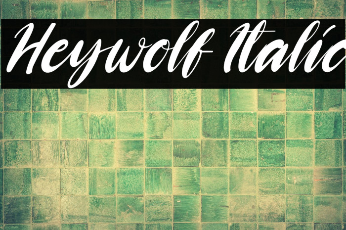 Heywolf Italic Example 1