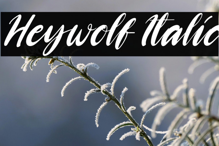 Heywolf Italic Example 2