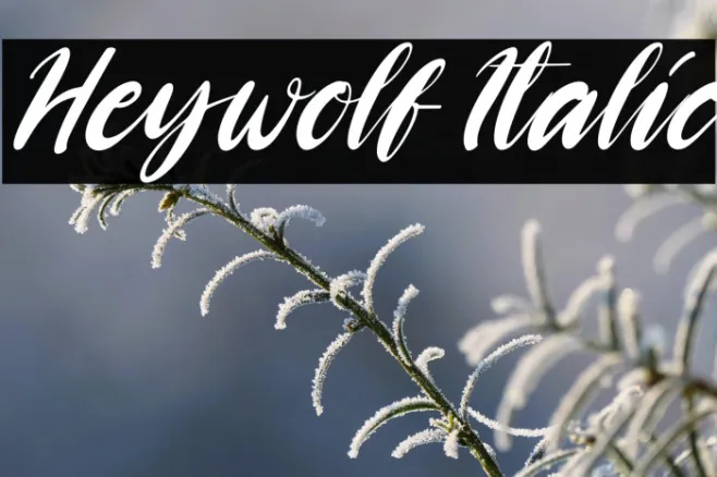 Heywolf Italic Example 2